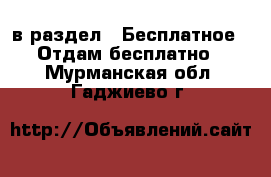  в раздел : Бесплатное » Отдам бесплатно . Мурманская обл.,Гаджиево г.
